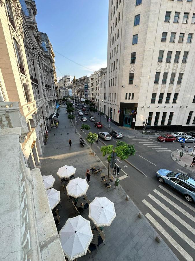 Апартаменты Oyster Flat Victoriei Бухарест Экстерьер фото